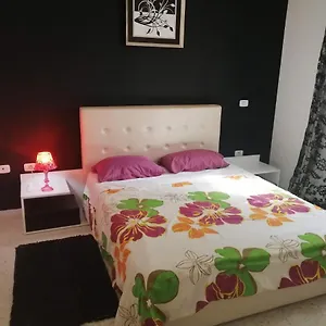 Palmeraies Tunis Appartamento
